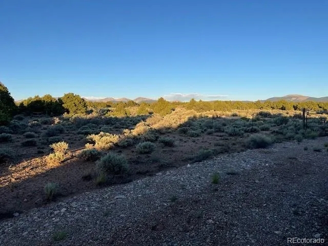 a view of a lake in middle of forest