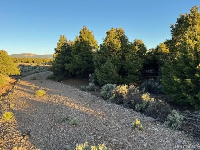 a view of a yard with a tree