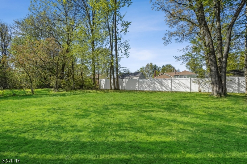 11 North Derby Road Springfield, NJ 07081 - Photo 27 of 30 a view of a yard with a tree