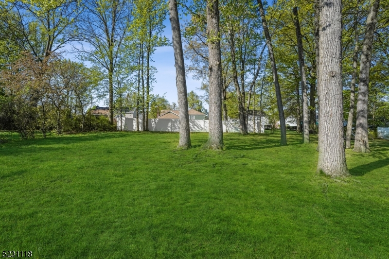 11 North Derby Road Springfield, NJ 07081 - Photo 29 of 30 a view of a trees with a big yard