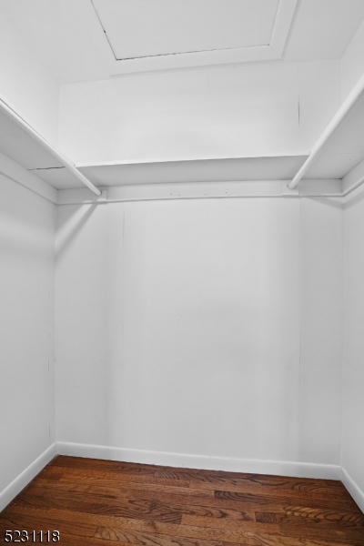 11 North Derby Road Springfield, NJ 07081 - Photo 8 of 30 a view of an empty walk in closet