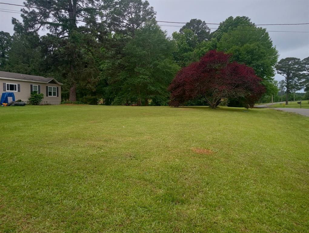 248 Timber Lane Mansfield, LA 71052 - Photo 11 of 12 a view of a large garden with plants and large trees
