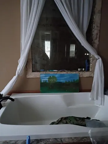 a view of a large garden with plants and large trees