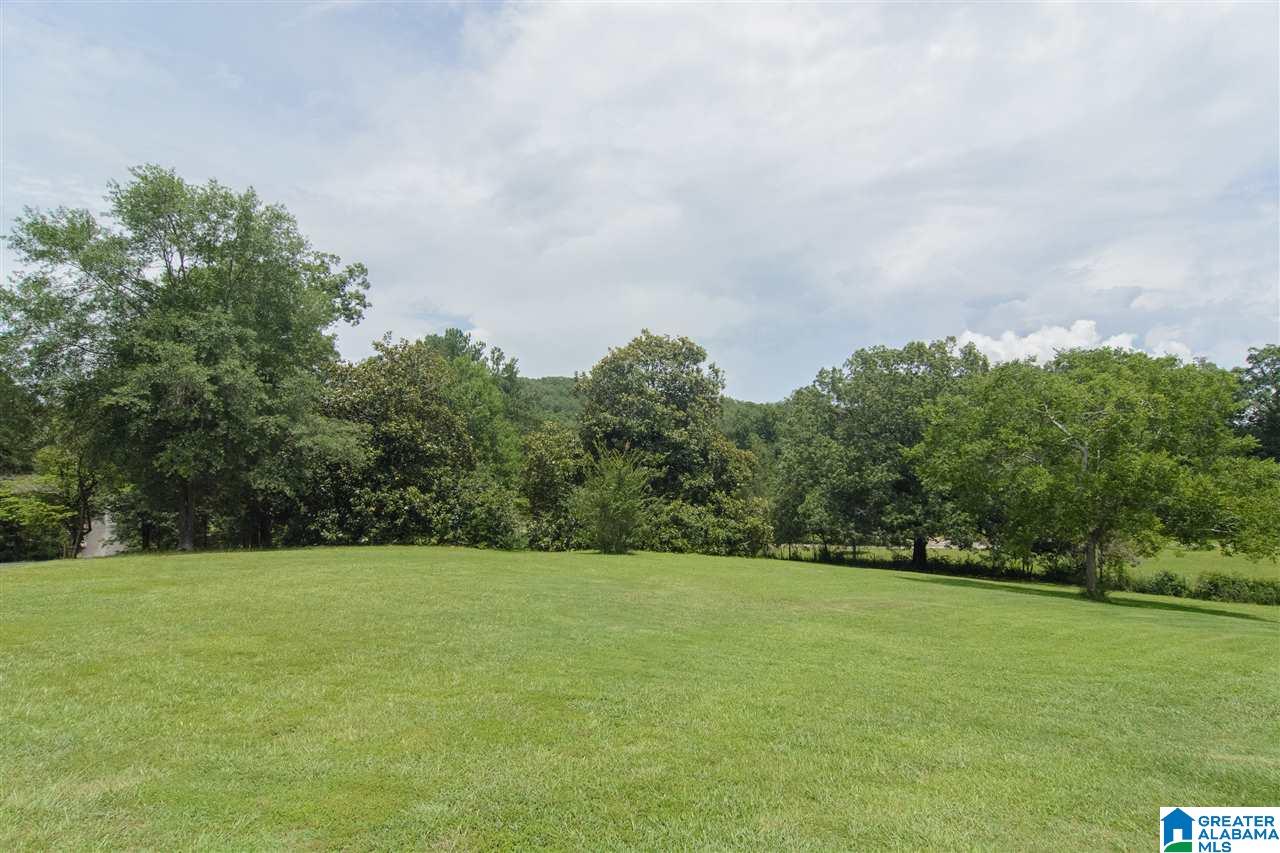 6651 Old Springville Road Pinson, AL 35126 - Photo 7 of 43