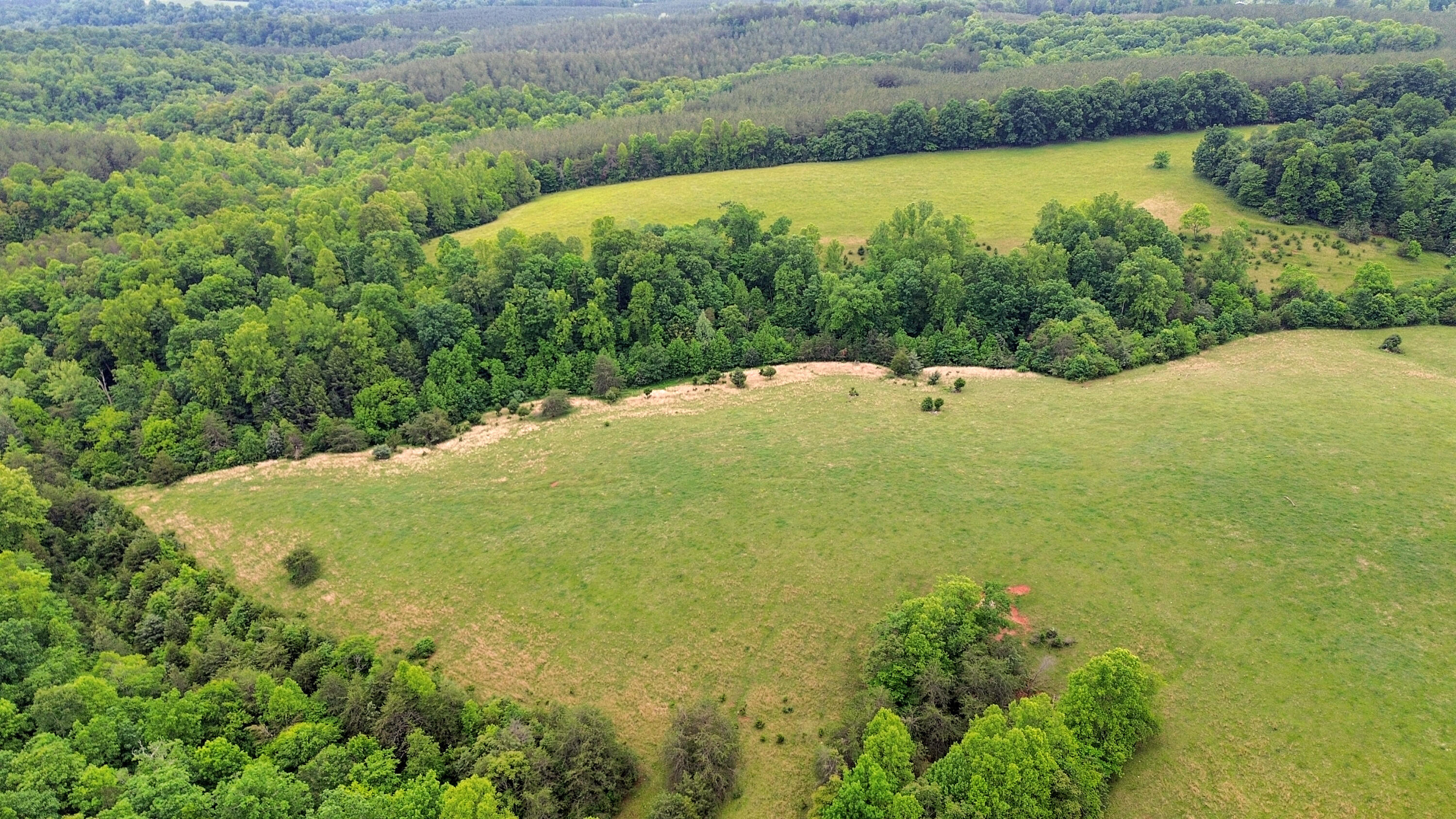 4178 Headens Bridge Road Bedford, VA 24523 - Photo 98 of 107 4178 Headens Bridge Rd