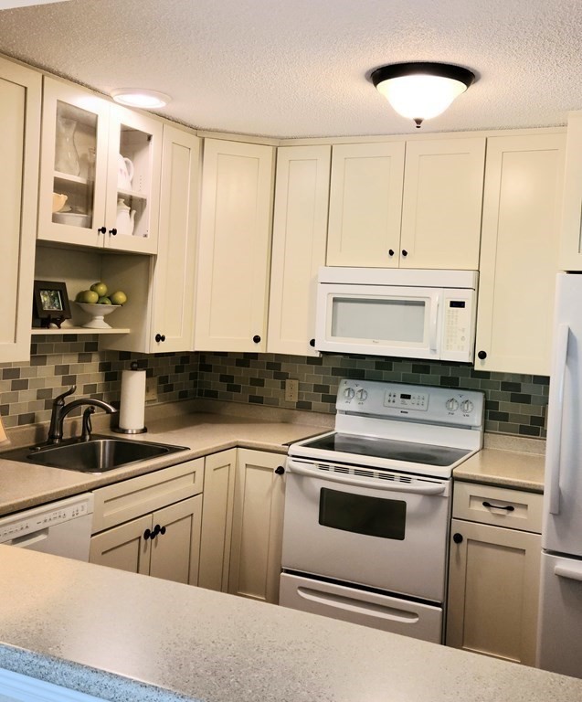 1029 Pleasant Street, Unit 38 Worcester, MA 01602 - Photo 4 of 10