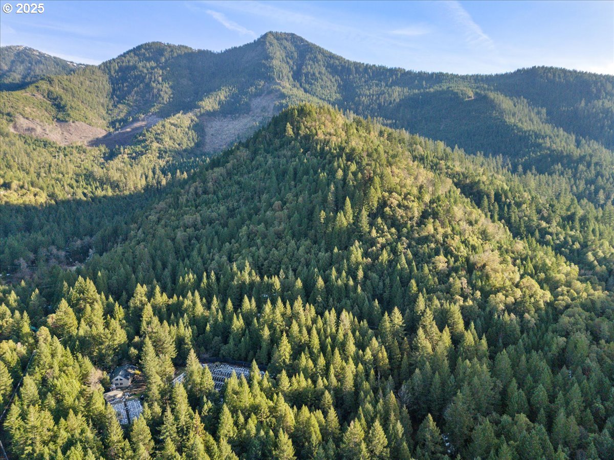 571 Briar Lane Selma, OR 97538 - Photo 14 of 17