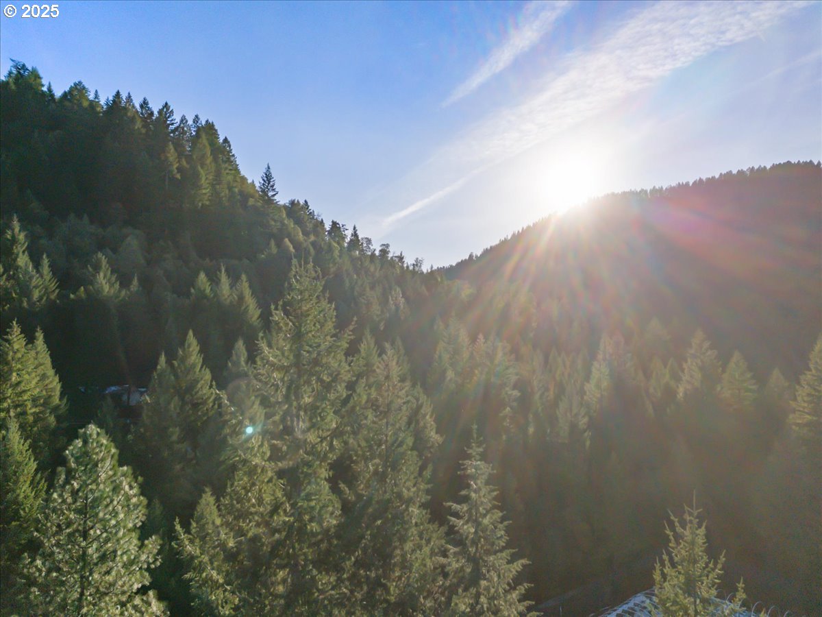 571 Briar Lane Selma, OR 97538 - Photo 16 of 17