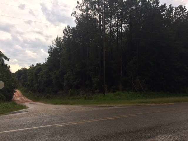 17 County Road 17 Road Elba, AL 36323 - Photo 1 of 1