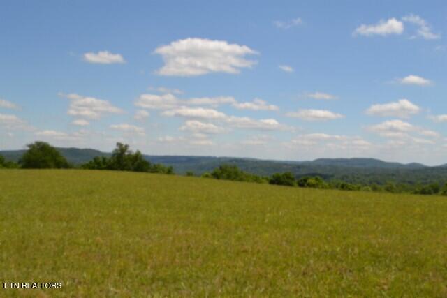 Lot 61 Walleye Road Celina, TN 38551 - Photo 15 of 37 DSC_0022
