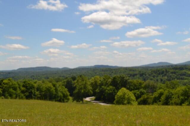 Lot 61 Walleye Road Celina, TN 38551 - Photo 2 of 37 BEST MTN VIEW