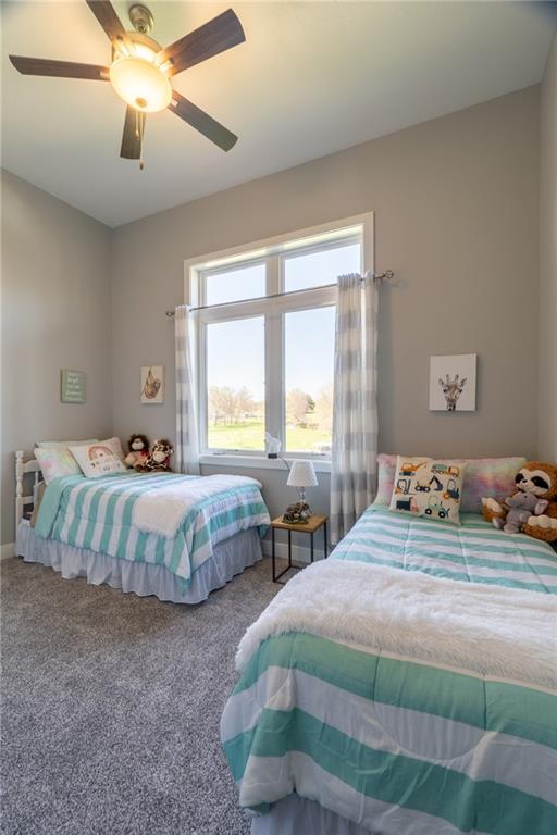 114 Goose Court Altamont, MO 64620 - Photo 49 of 70