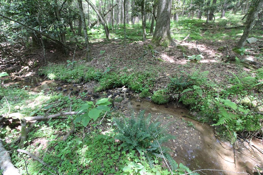 6093 Joy Ranch Road, Unit 126A46 Fancy Gap, VA 24328 - Photo 64 of 69 Gallery Image 64