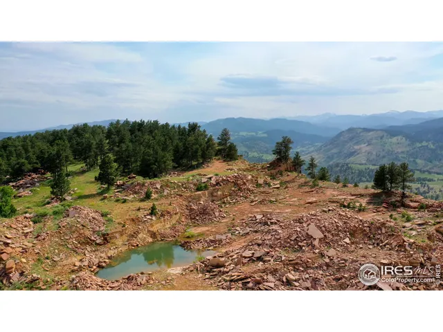a view of a dry yard with green space