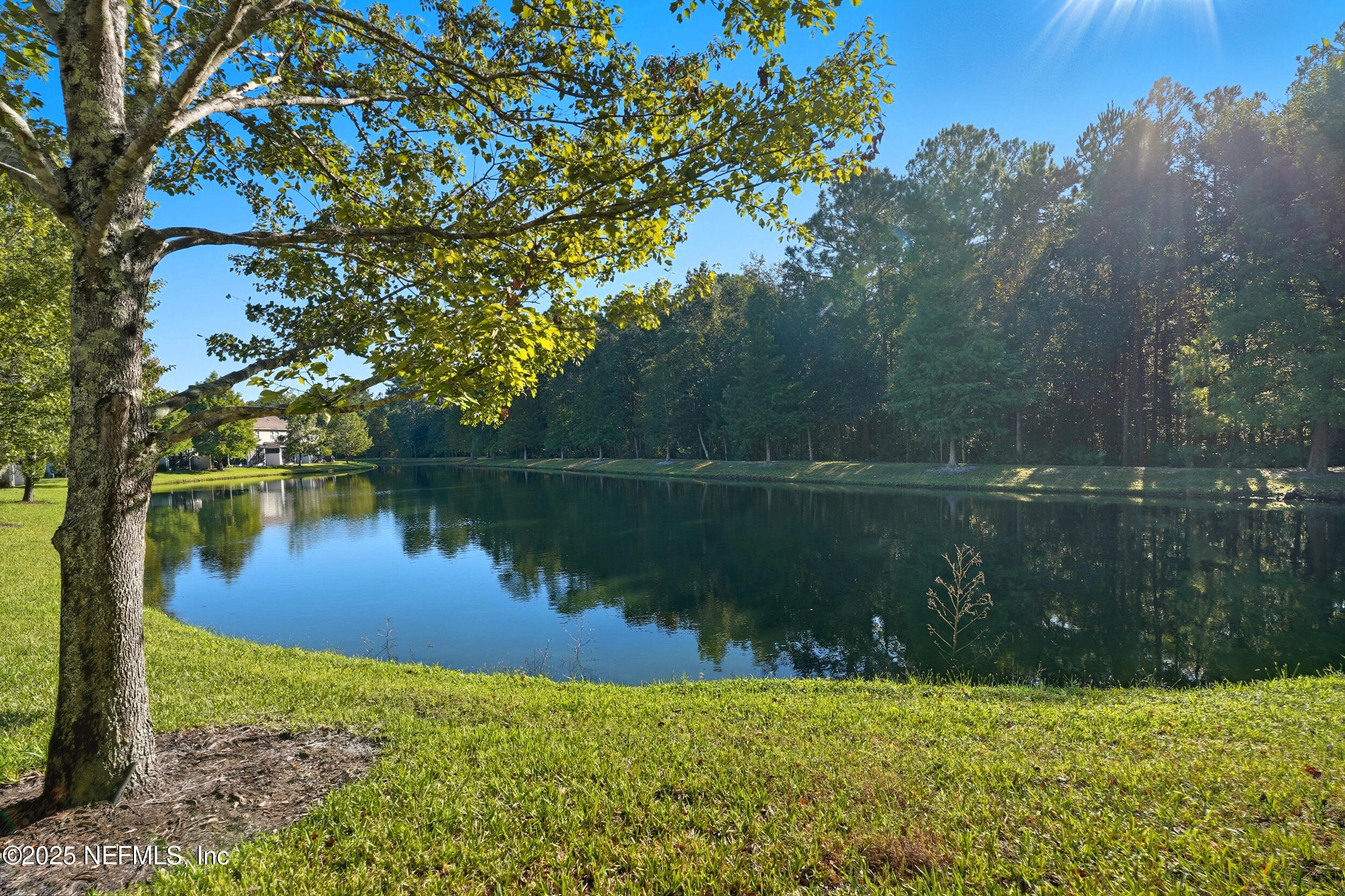 362 Paradas Place St. Augustine, FL 32092 - Photo 23 of 27 a view of a lake in between two large trees