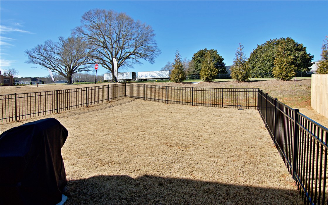 152 Adger Road Pendleton, SC 29670 - Photo 31 of 41 Backyard