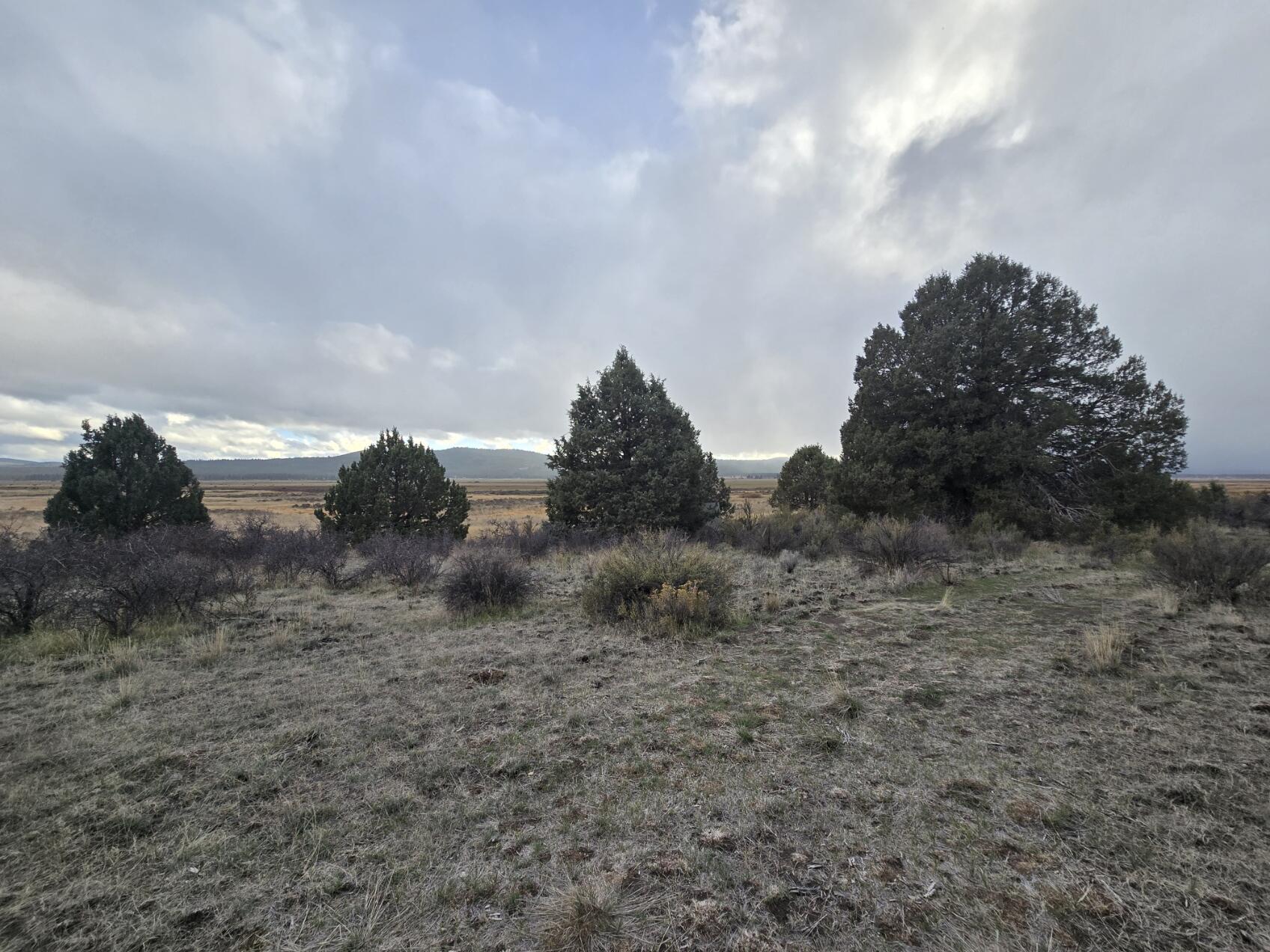 Drews Road, Unit 10 Chiloquin, OR 97624 - Photo 4 of 6 20251025_170520