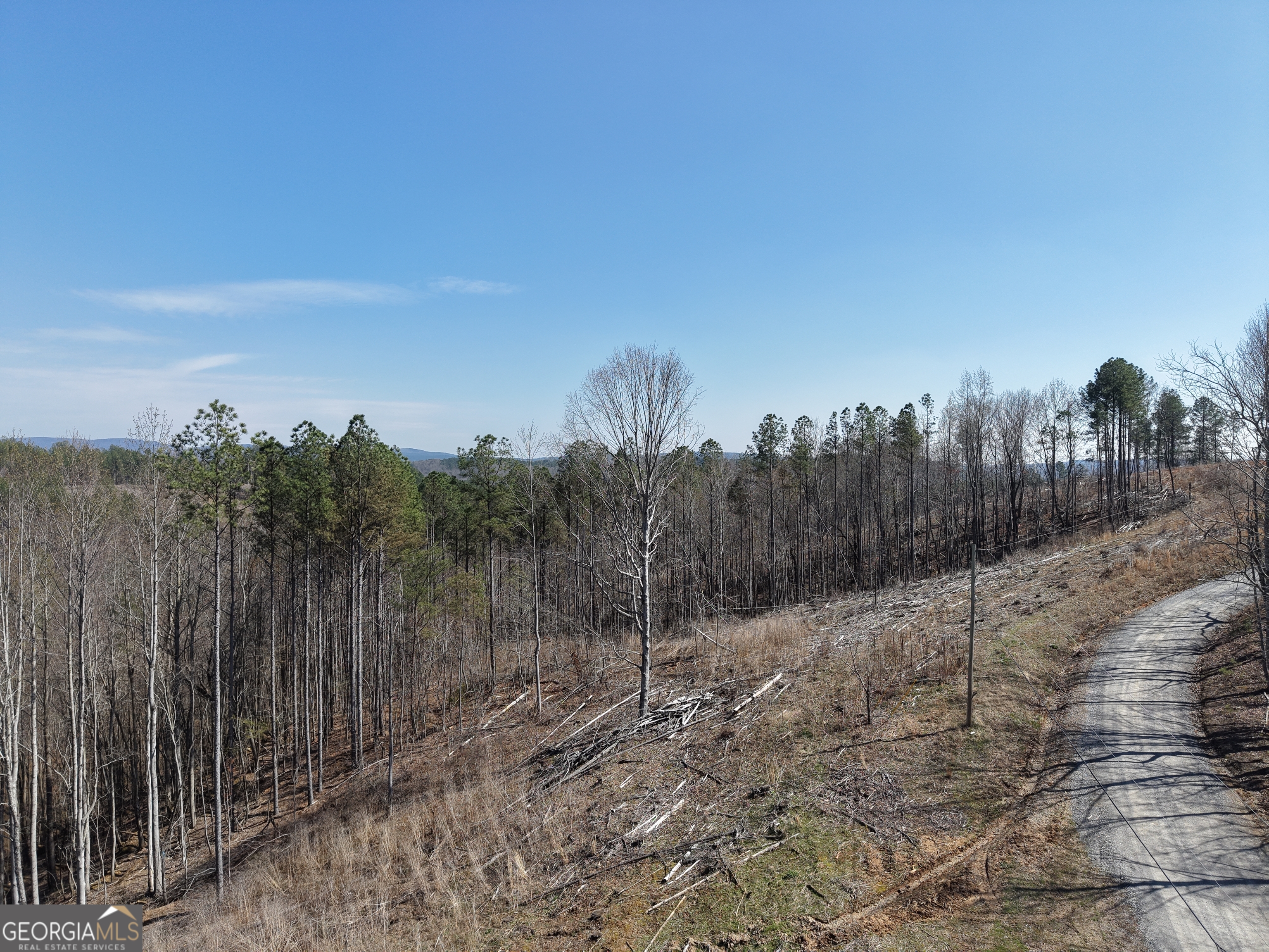 0 Angel Road, Unit 7206 PARCEL F Fairmount, GA 30139 - Photo 8 of 40 Gallery Image 8