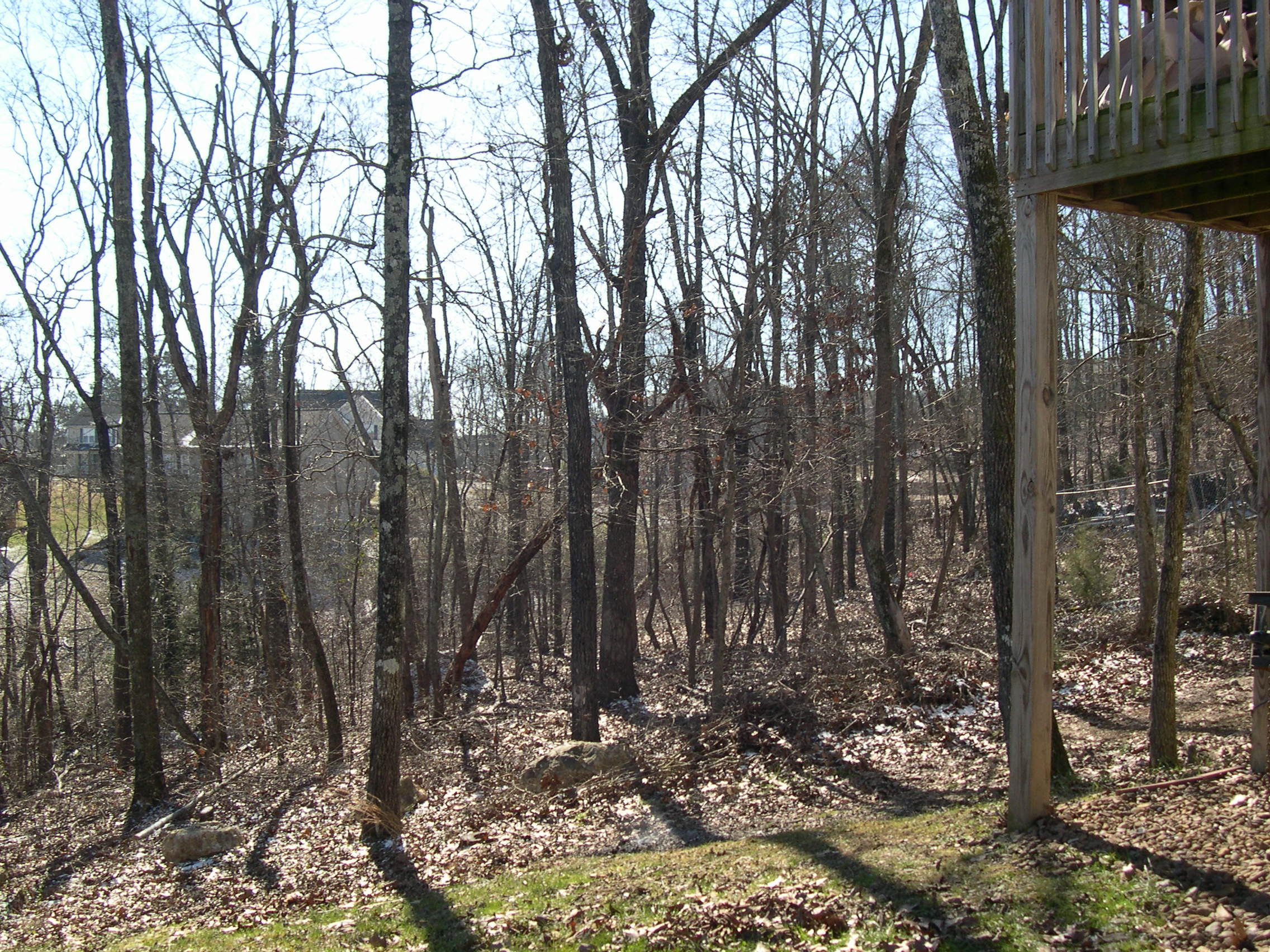 7390 British Road Ooltewah, TN 37363 - Photo 27 of 27 wooded lot