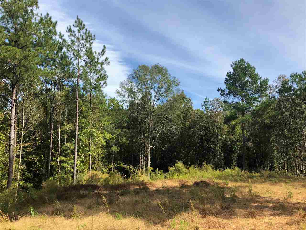1072 Broome Road Wesson, MS 39191 - Photo 1 of 12 Photo 1