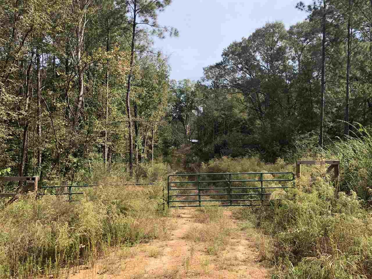 1072 Broome Road Wesson, MS 39191 - Photo 11 of 12 Photo 11