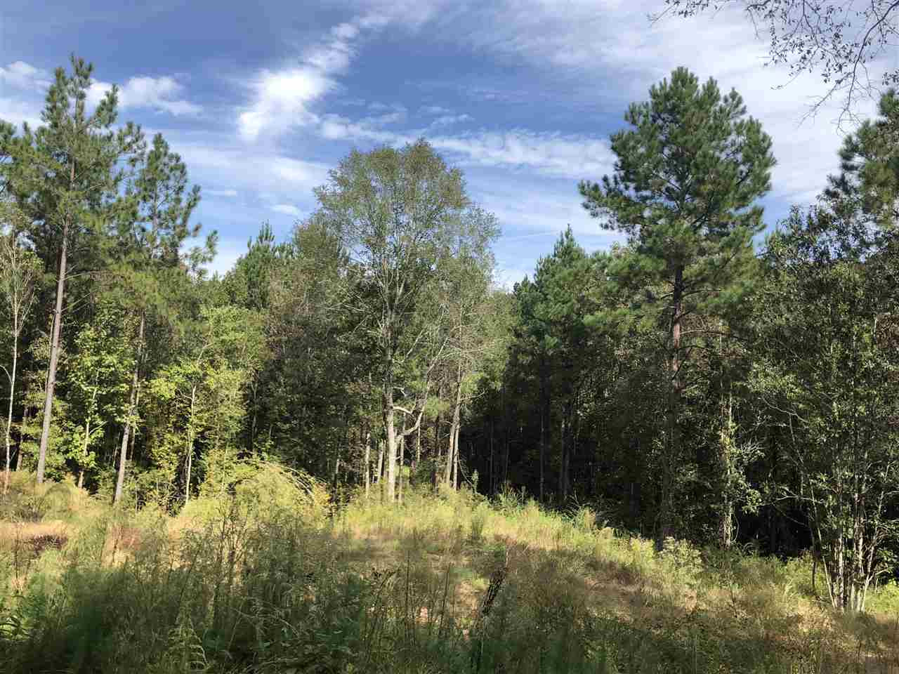 1072 Broome Road Wesson, MS 39191 - Photo 4 of 12 Photo 4