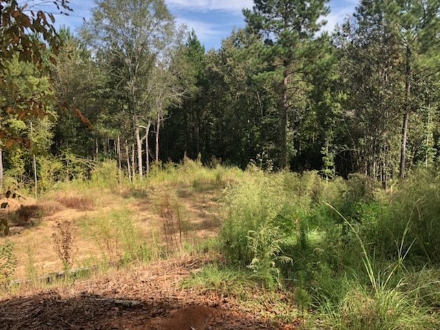 1072 Broome Road Wesson, MS 39191 - Photo 5 of 12 Photo 5