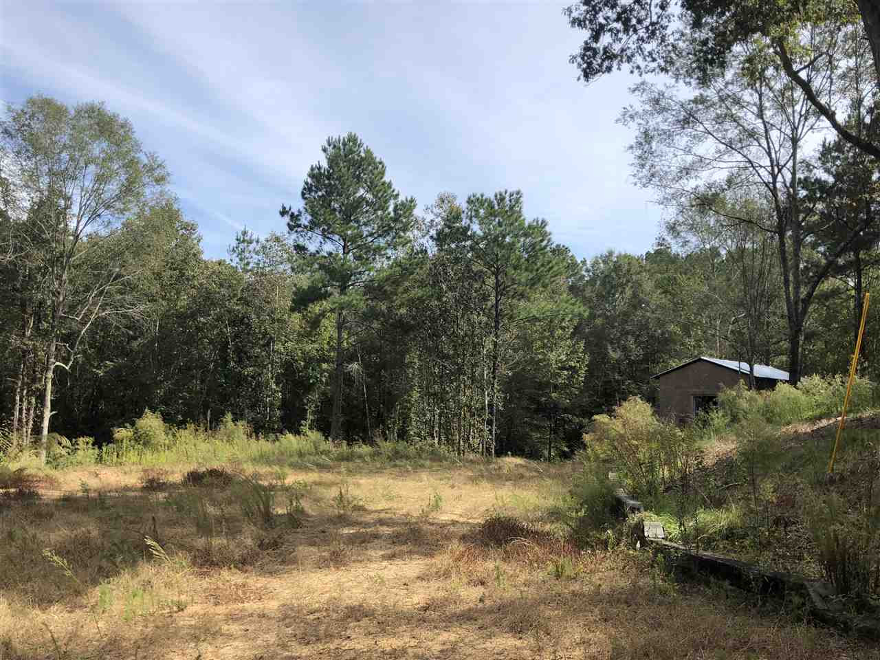 1072 Broome Road Wesson, MS 39191 - Photo 9 of 12 Photo 9