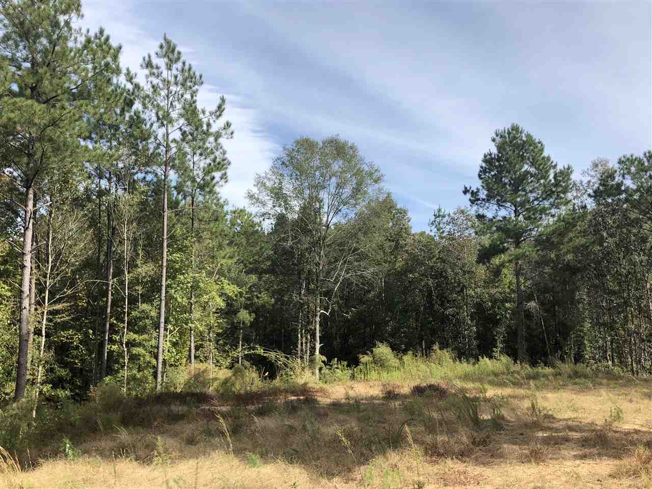 1072 Broome Road Wesson, MS 39191 - Photo 10 of 12 Photo 10