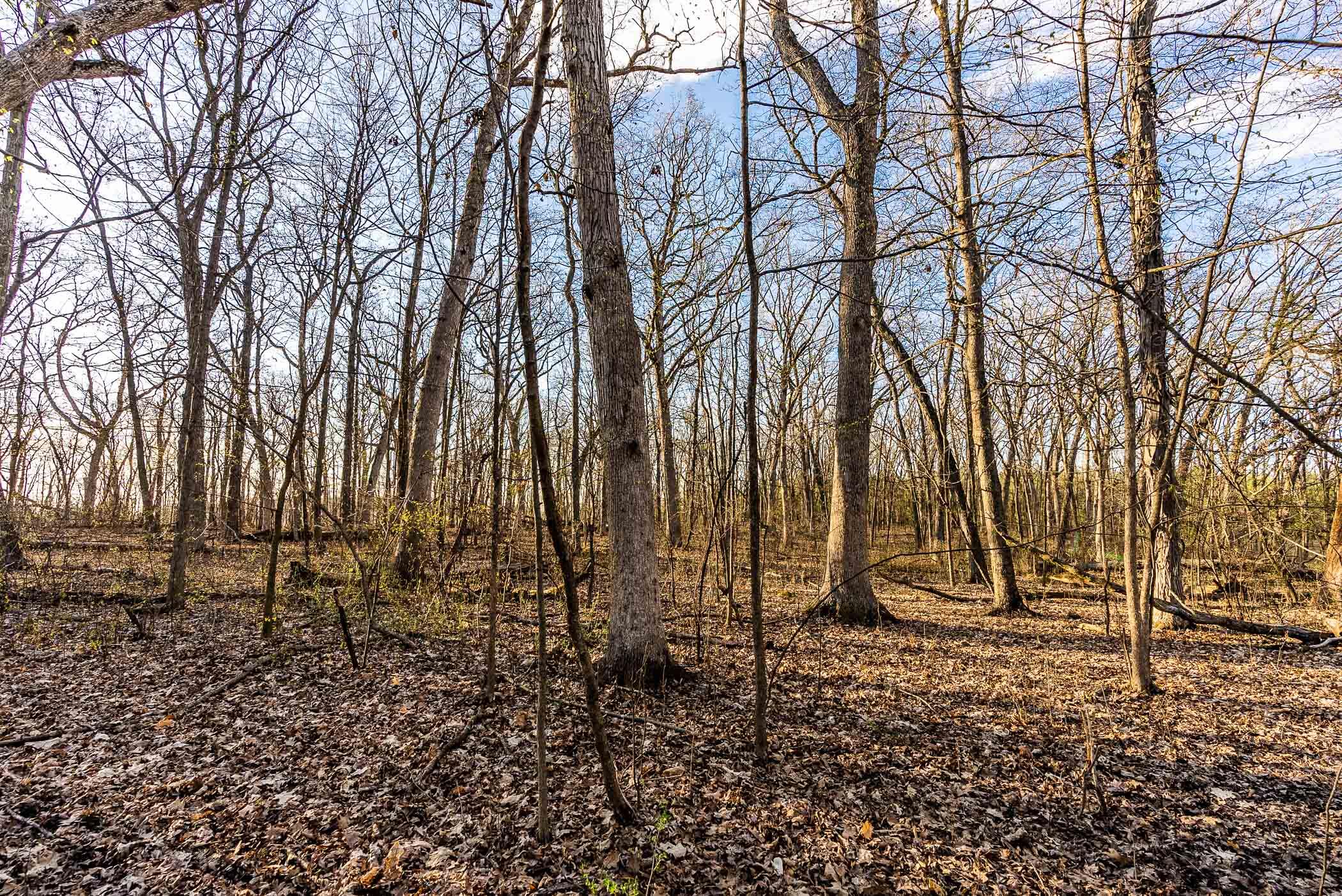 4374 108th Street Raymond, WI 53126 - Photo 16 of 29 16