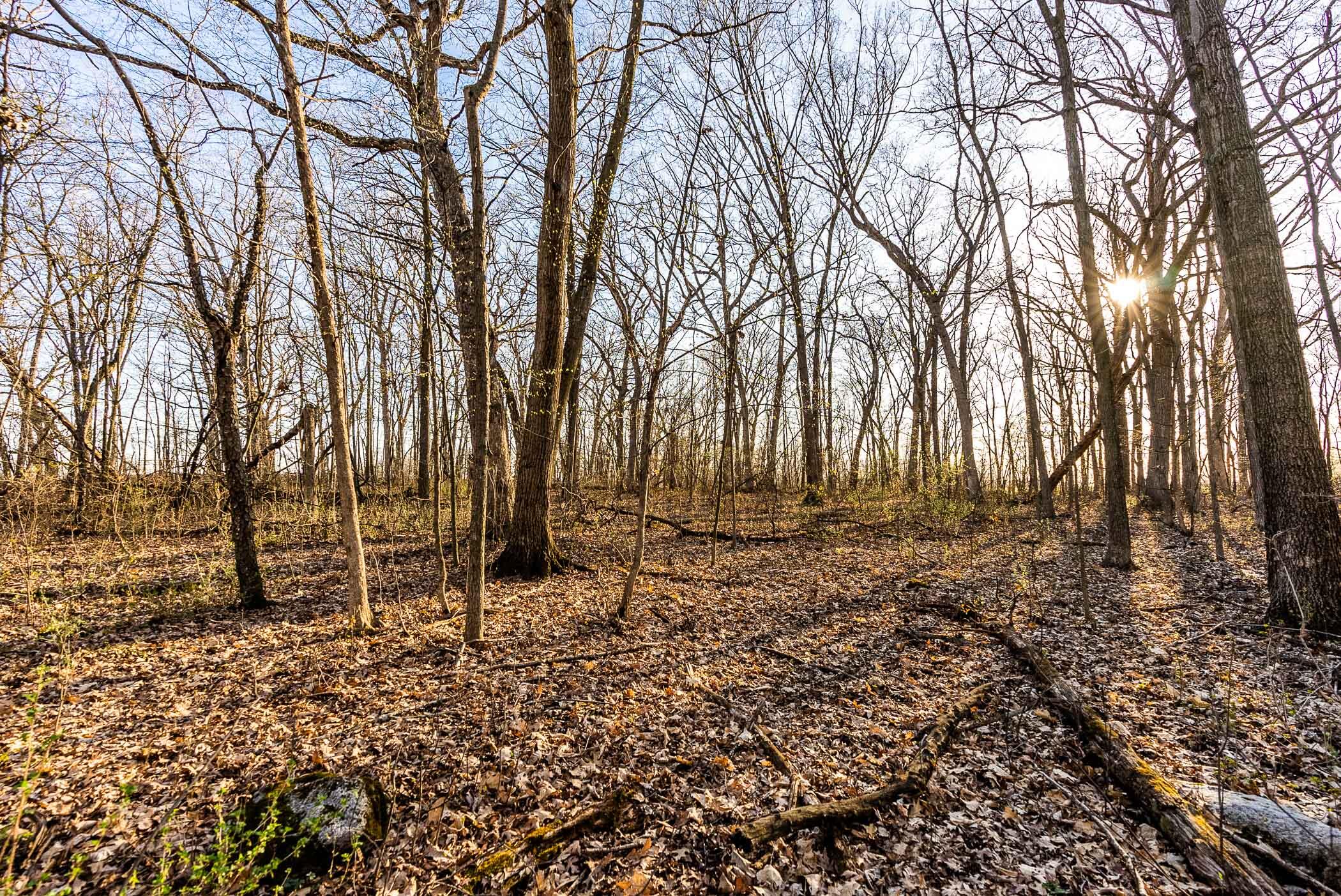 4374 108th Street Raymond, WI 53126 - Photo 17 of 29 17