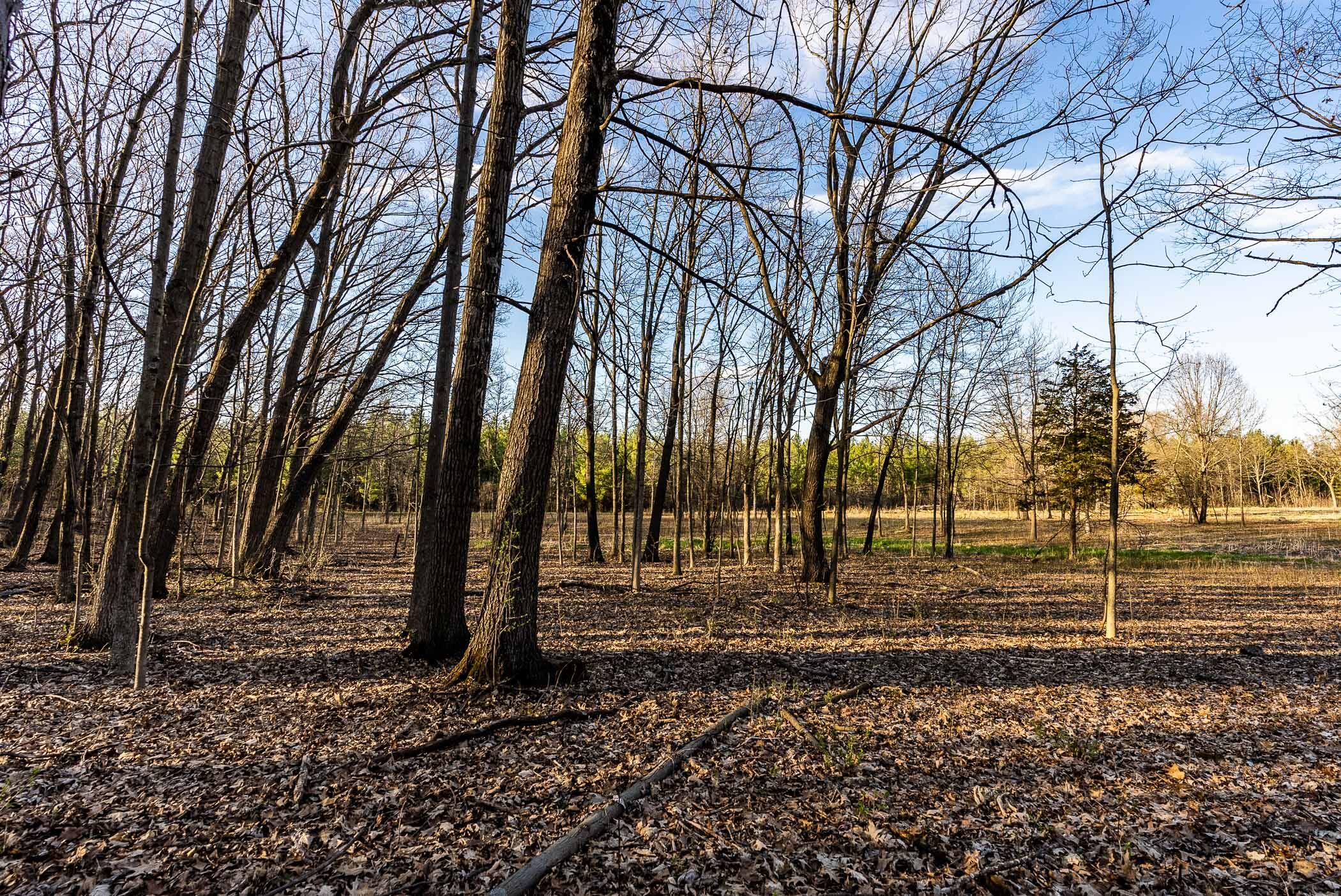 4374 108th Street Raymond, WI 53126 - Photo 18 of 29 18