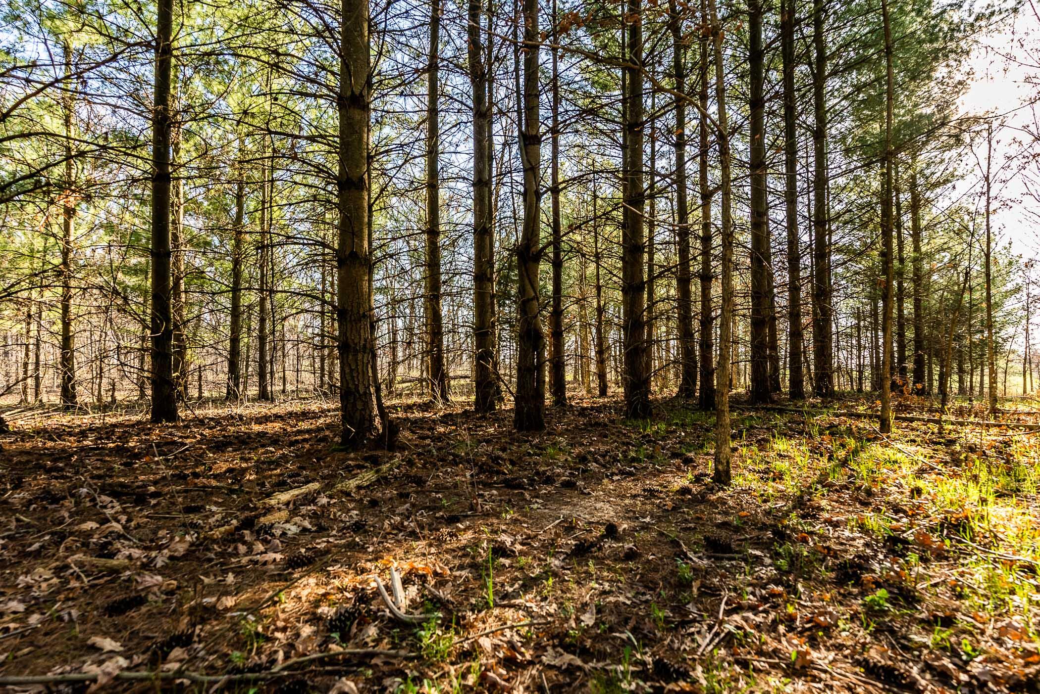 4374 108th Street Raymond, WI 53126 - Photo 20 of 29 20