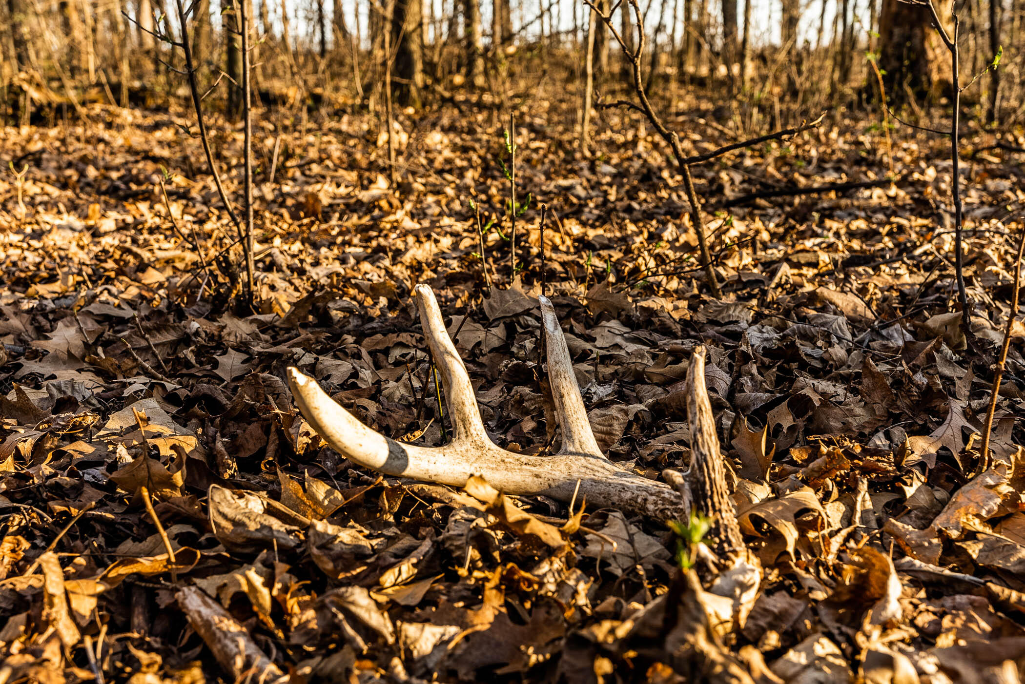 4374 108th Street Raymond, WI 53126 - Photo 21 of 29 21