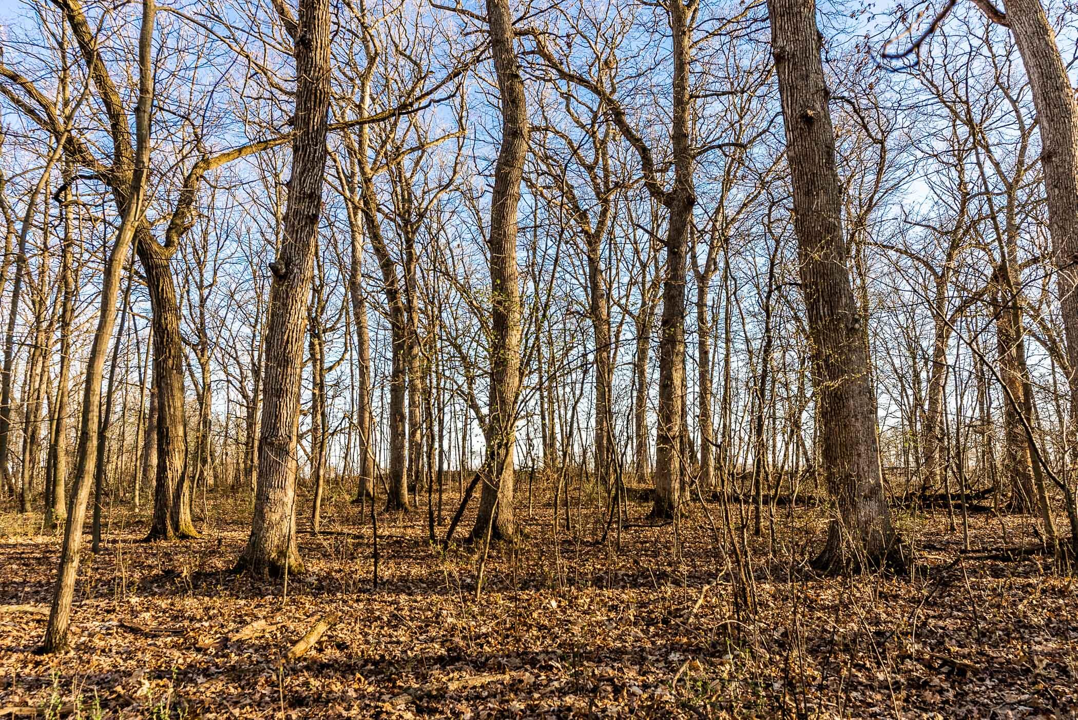 4374 108th Street Raymond, WI 53126 - Photo 22 of 29 22