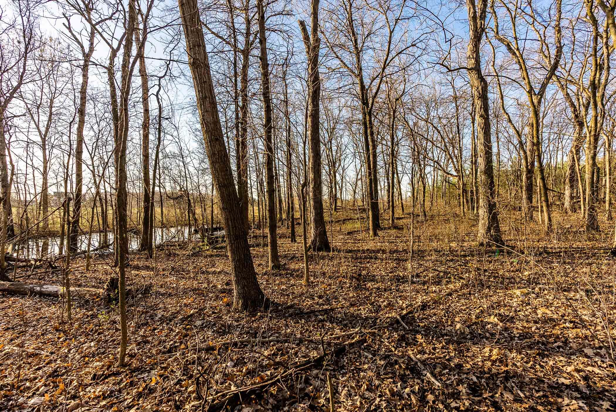 4374 108th Street Raymond, WI 53126 - Photo 23 of 29 23