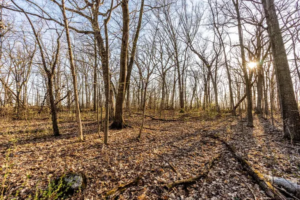 $1,850,000 | 4374 108th Street, Raymond, WI 53126