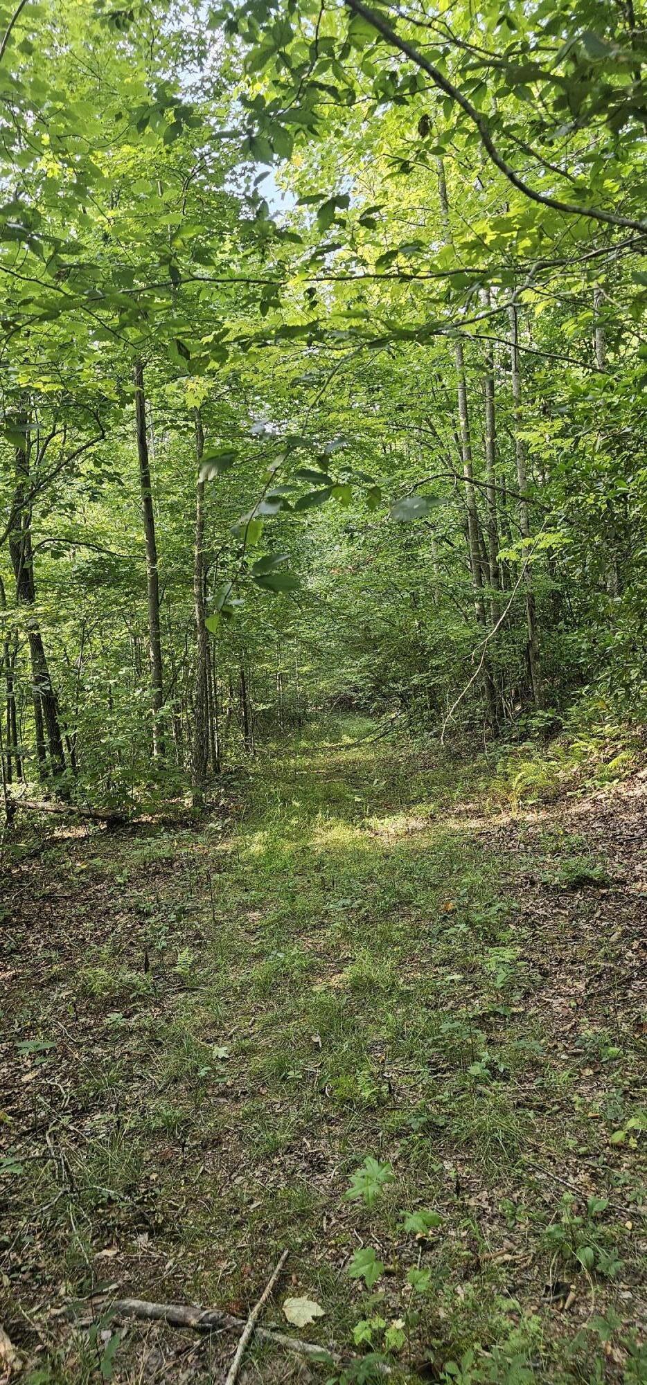 0 Cove Hill Road Pikeville, TN 37367 - Photo 8 of 10 20240807_170707