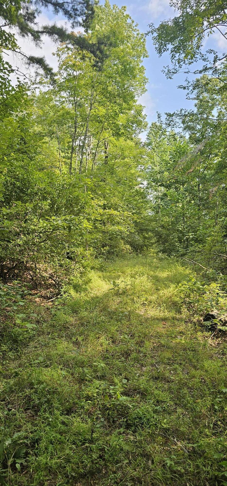 0 Cove Hill Road Pikeville, TN 37367 - Photo 9 of 10 20240807_170711