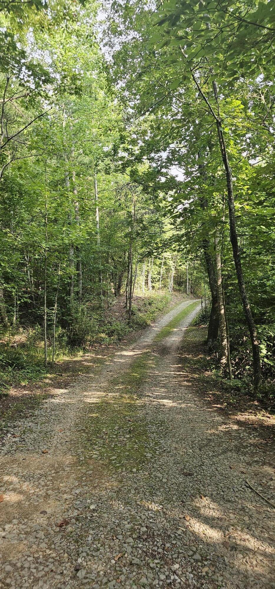 0 Cove Hill Road Pikeville, TN 37367 - Photo 10 of 10 20240807_171113