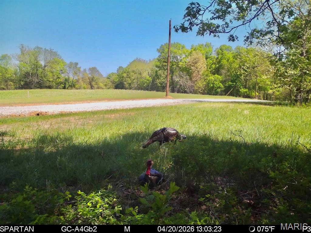 800 Southeast Rd T12 Collins Mo 64738 Collins, MO 64738 - Photo 12 of 25