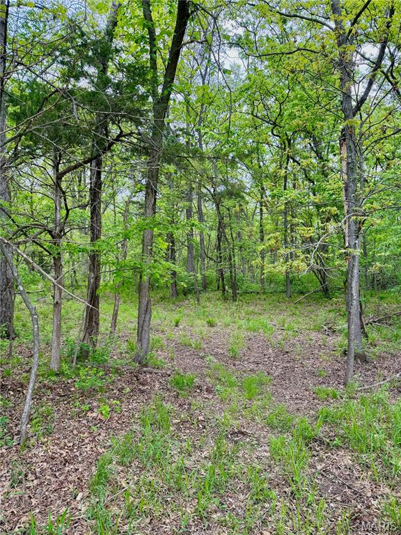 800 Southeast Rd T12 Collins Mo 64738 Collins, MO 64738 - Photo 16 of 25