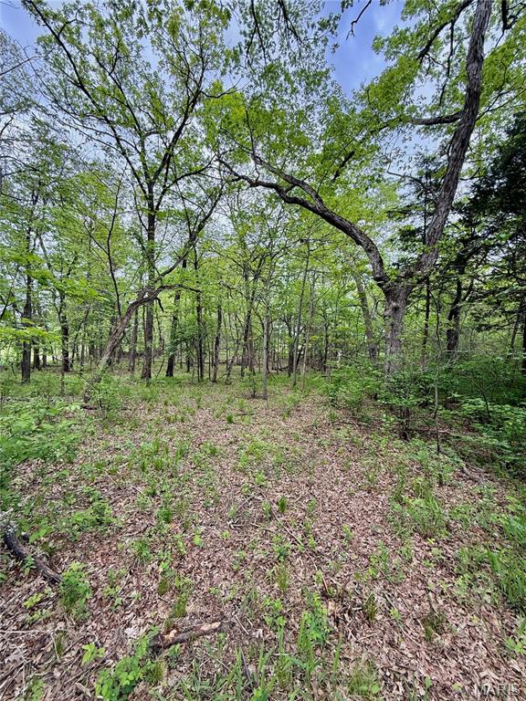 800 Southeast Rd T12 Collins Mo 64738 Collins, MO 64738 - Photo 18 of 25