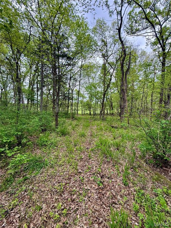 800 Southeast Rd T12 Collins Mo 64738 Collins, MO 64738 - Photo 19 of 25