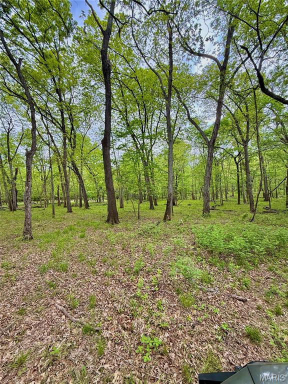 800 Southeast Rd T12 Collins Mo 64738 Collins, MO 64738 - Photo 20 of 25