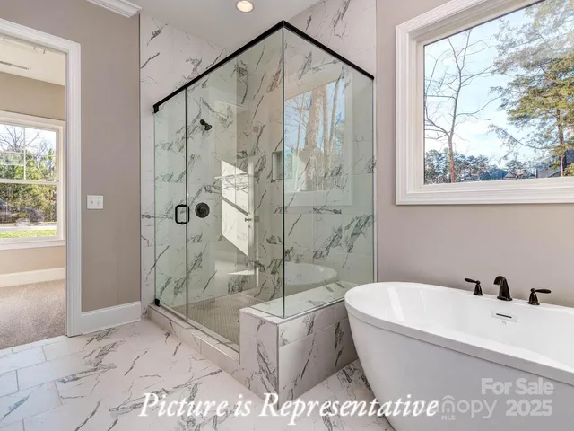 a bathroom with a bathtub and a shower