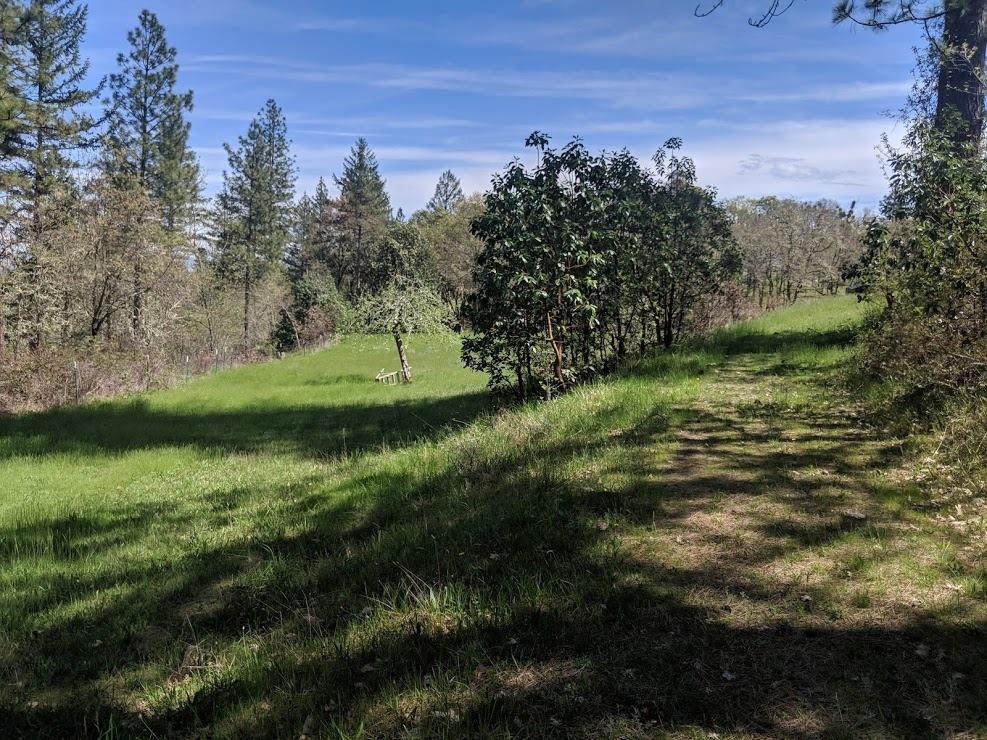 5035 Lane Creek Road Central Point, OR 97502 - Photo 2 of 8 Additional Photo