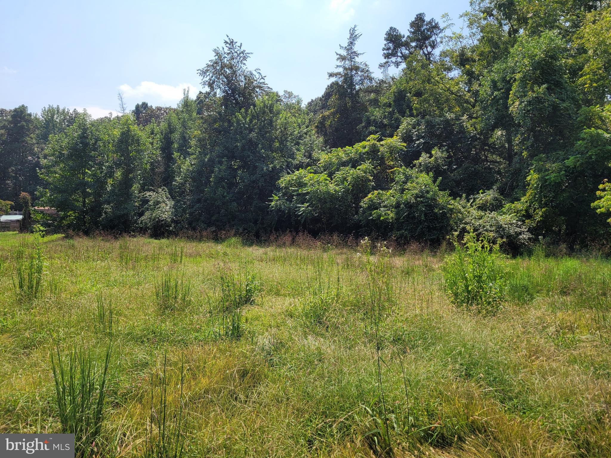 0 Quinton-Marlboro Road Bridgeton, NJ 08302 - Photo 1 of 1 Gallery Image 1