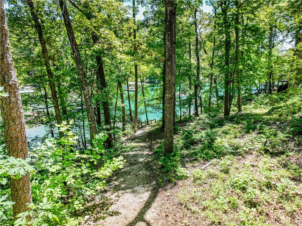 164 Wild Azalea Point Seneca, SC 29672 - Photo 15 of 31