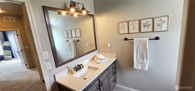 a bathroom with a sink vanity and a mirror
